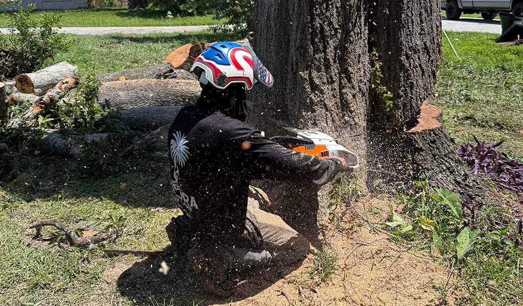 Certified Expertise, Family Values- Meet Richard Pena