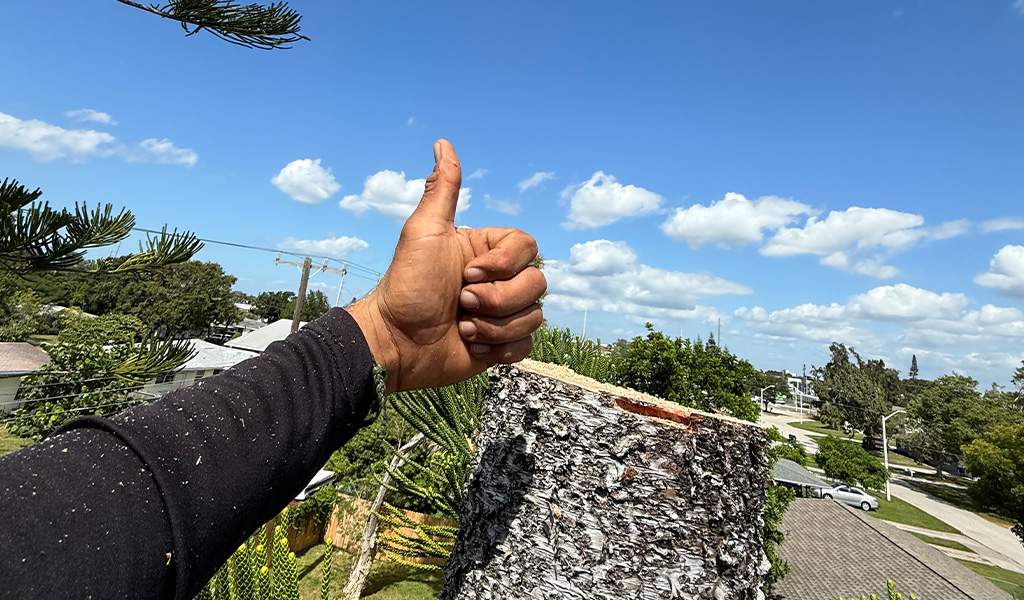 Kevin Pureco — Certified Climber & Lead Supervisor