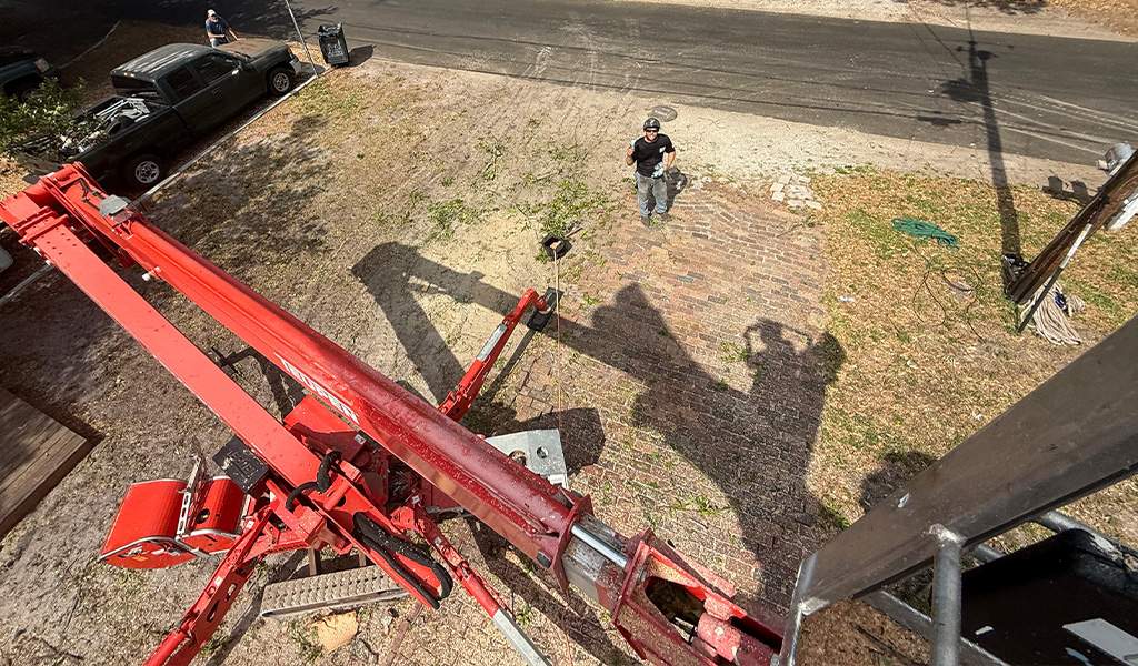 Meet Our Professional Team